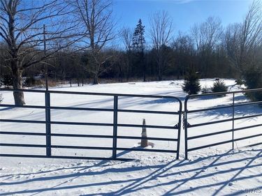 8708 Oramel Hill Road, Caneadea, NY 14717