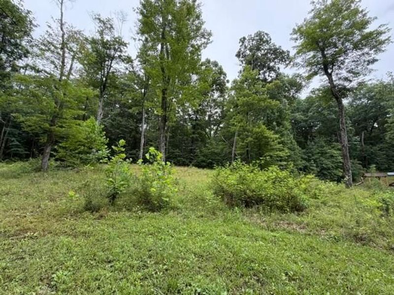 26360 Schoolie Road, Creola, OH 45622 Photo 36