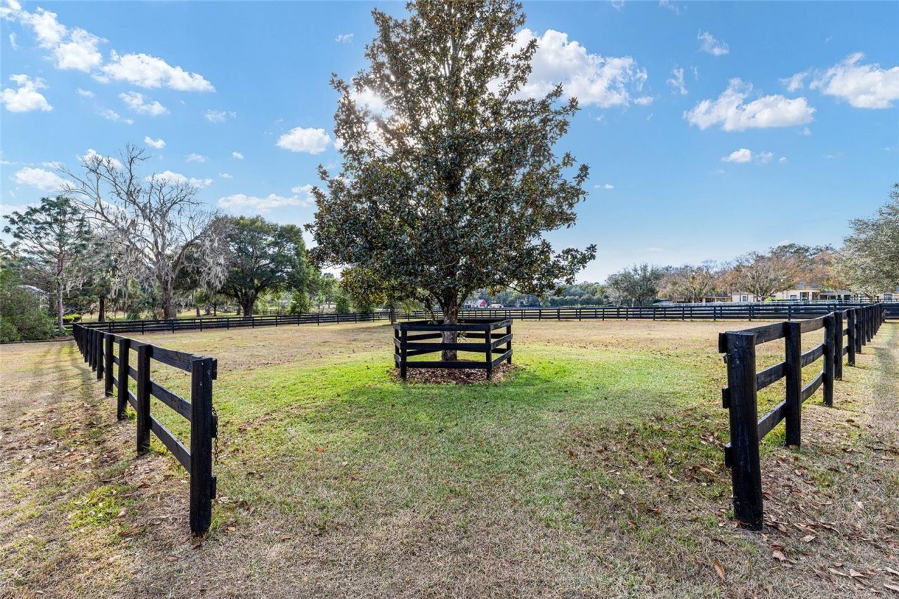 2150 SE 73 Loop, Ocala, FL 34480 Photo