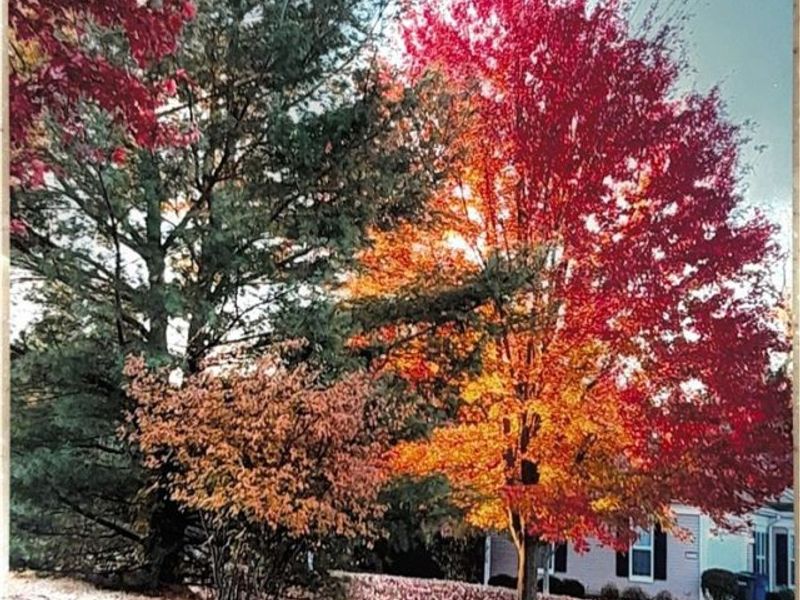 455 Edge Park Lane, Brunswick, OH 44212 Photo 42