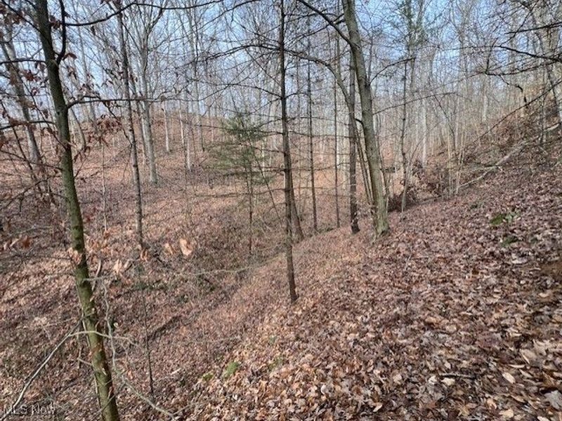 18344 Modoc Road, Glouster, OH 45732 Photo 11