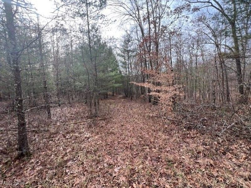 18344 Modoc Road, Glouster, OH 45732 Photo 12