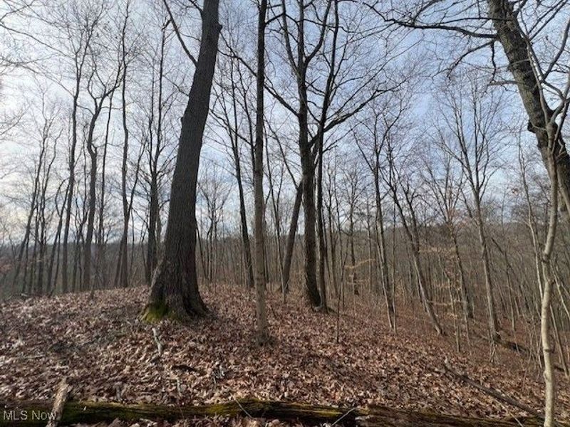 18344 Modoc Road, Glouster, OH 45732 Photo 13