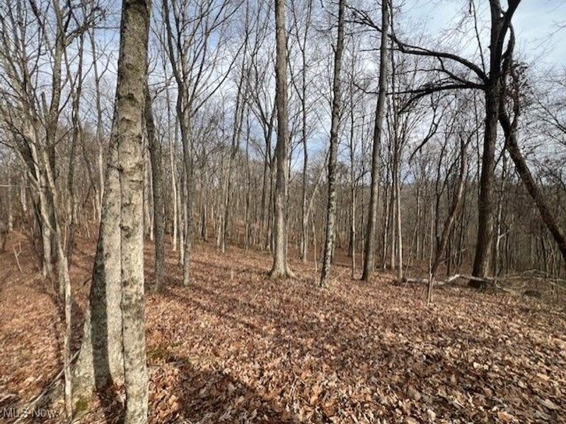 18344 Modoc Road, Glouster, OH 45732 Photo 14