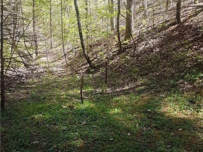 18344 Modoc Road, Glouster, OH 45732 Photo 16