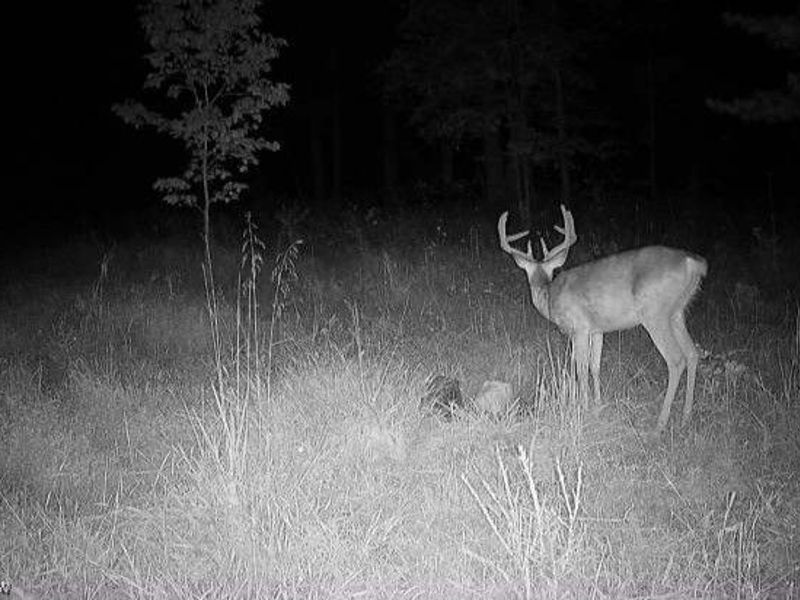 18344 Modoc Road, Glouster, OH 45732 Photo 3