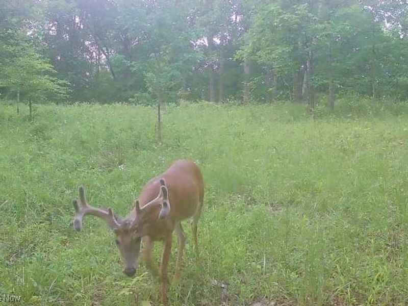 18344 Modoc Road, Glouster, OH 45732 Photo 5