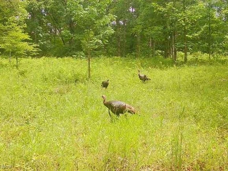 18344 Modoc Road, Glouster, OH 45732 Photo 6