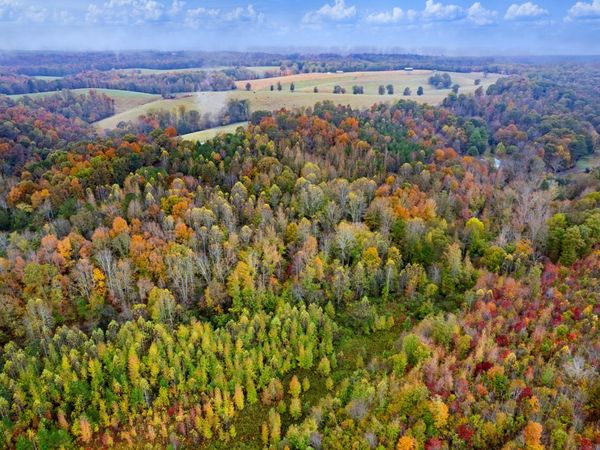 0 Ducktown Road, Iron City, TN 38463