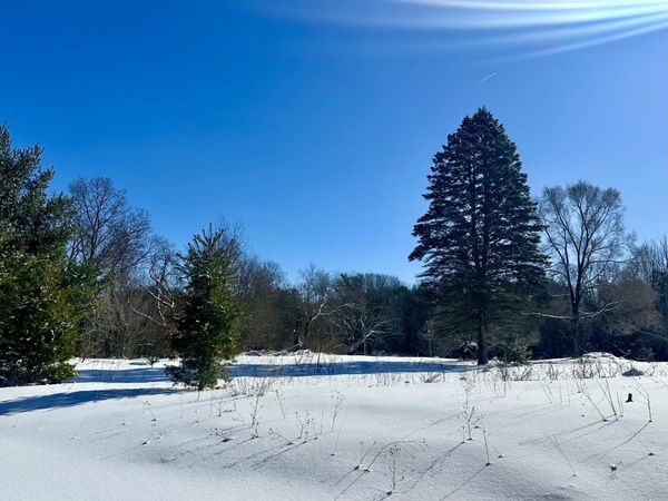 3505 65th Street, Saugatuck, MI 49453