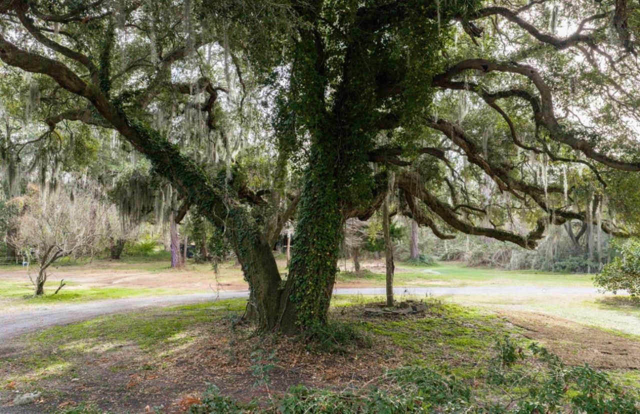 10670 Ocean Hwy.  Photo 13