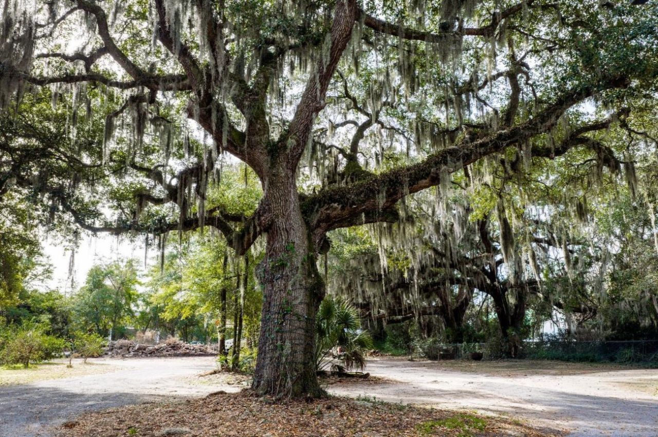 10670 Ocean Hwy.  Photo 17