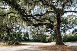 10670 Ocean Hwy.  photo 4