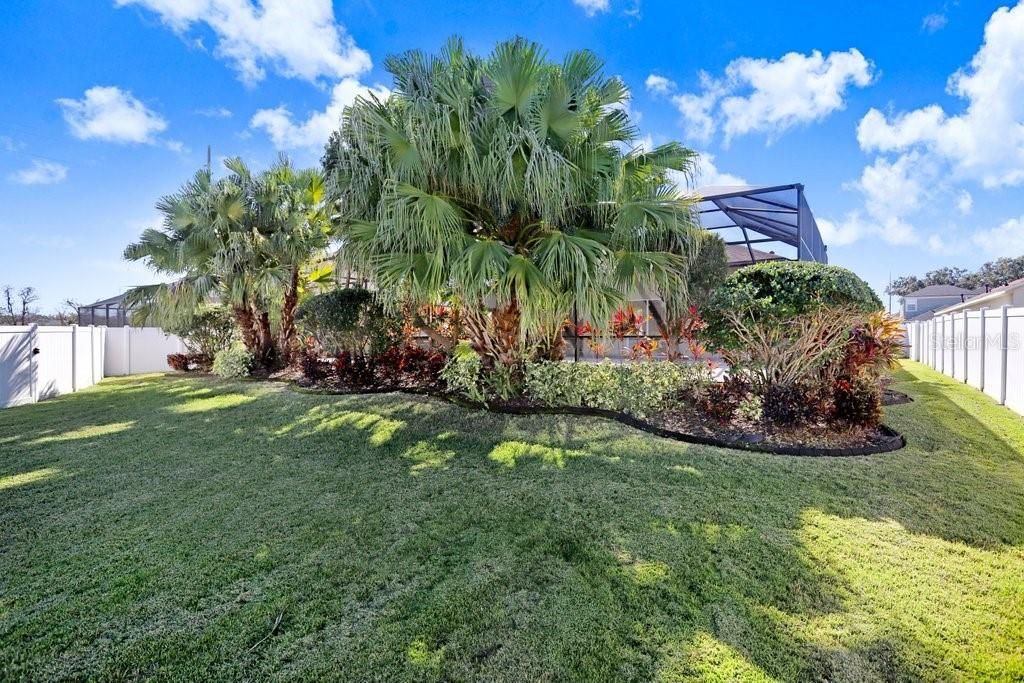 2412 Drake Elm Terrace, Valrico, FL 33594 Photo