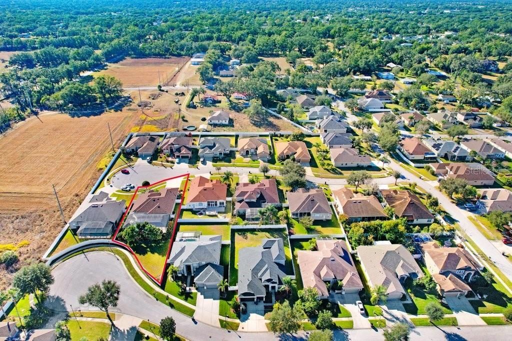 2412 Drake Elm Terrace, Valrico, FL 33594 Photo