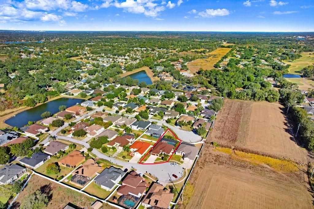 2412 Drake Elm Terrace, Valrico, FL 33594 Photo