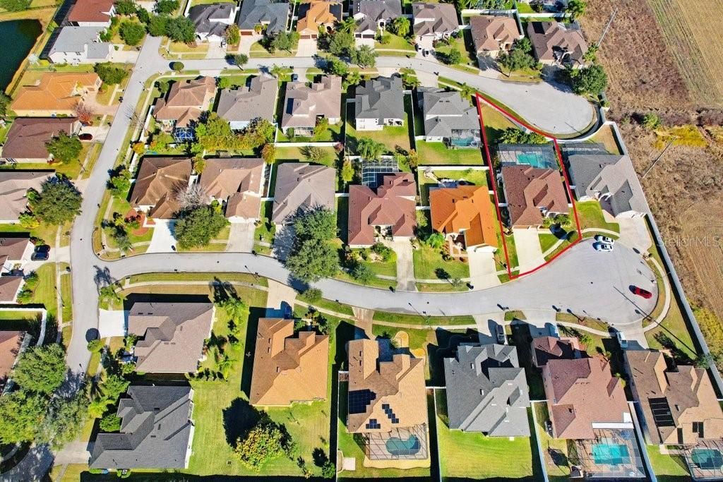 2412 Drake Elm Terrace, Valrico, FL 33594 Photo