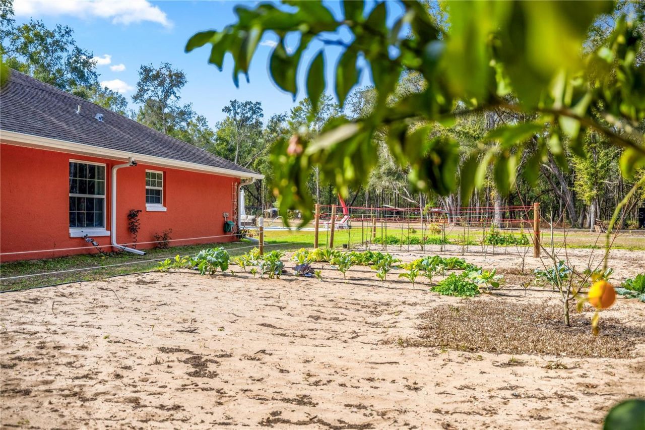 8490 SE 110th Street Road, Belleview, FL 34420 Photo