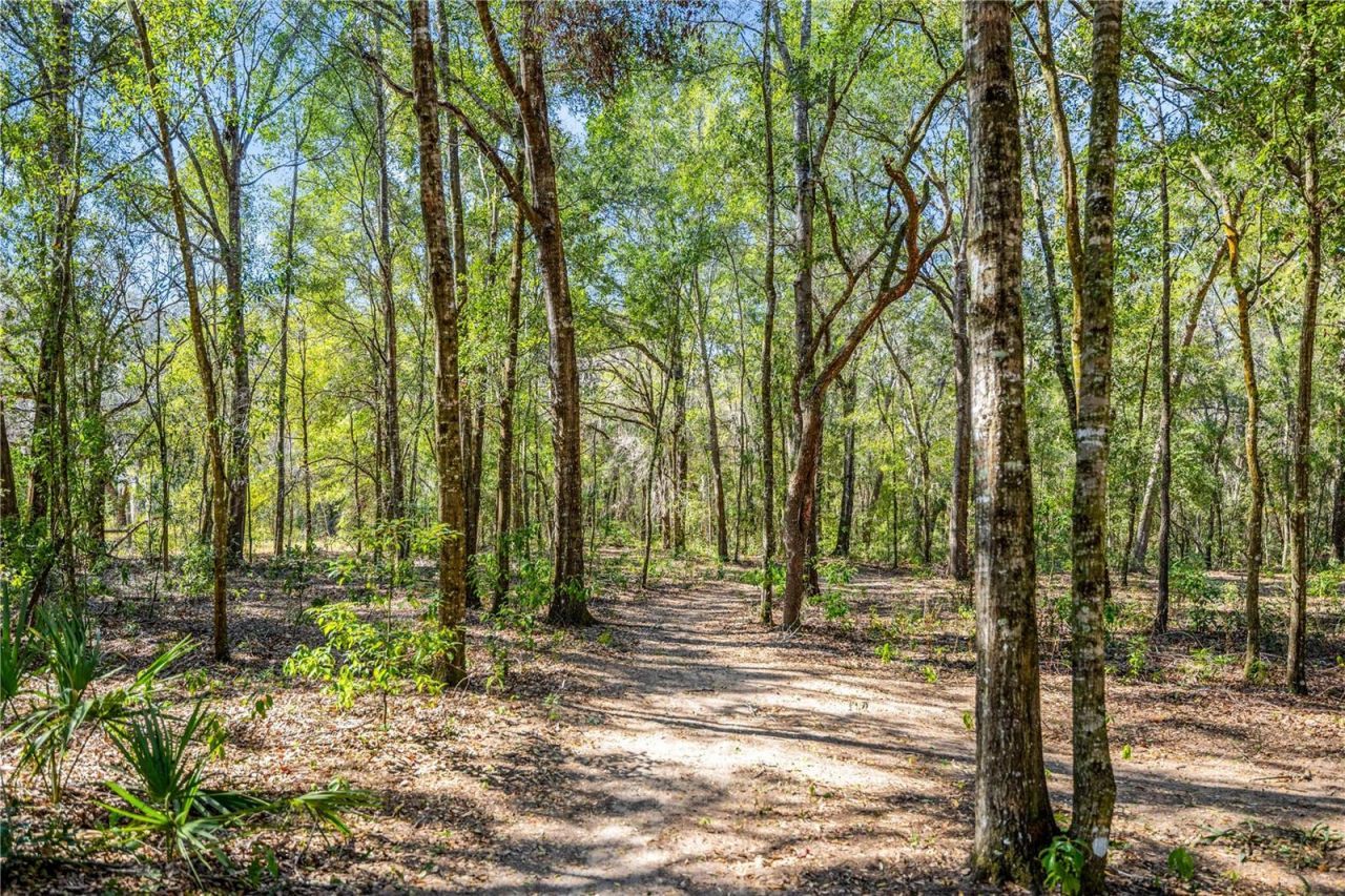 8490 SE 110th Street Road, Belleview, FL 34420 Photo