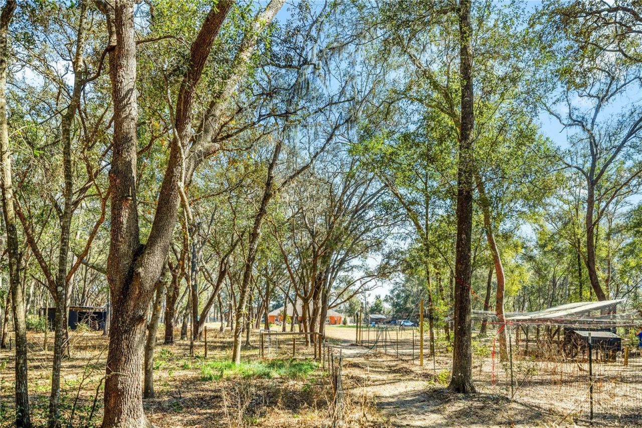 8490 SE 110th Street Road, Belleview, FL 34420 Photo