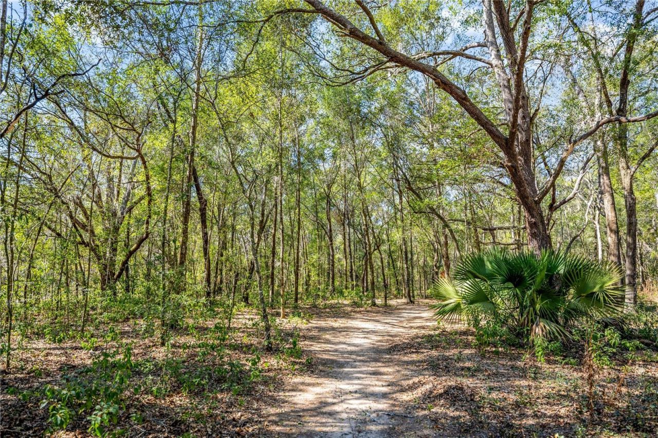 8490 SE 110th Street Road, Belleview, FL 34420 Photo