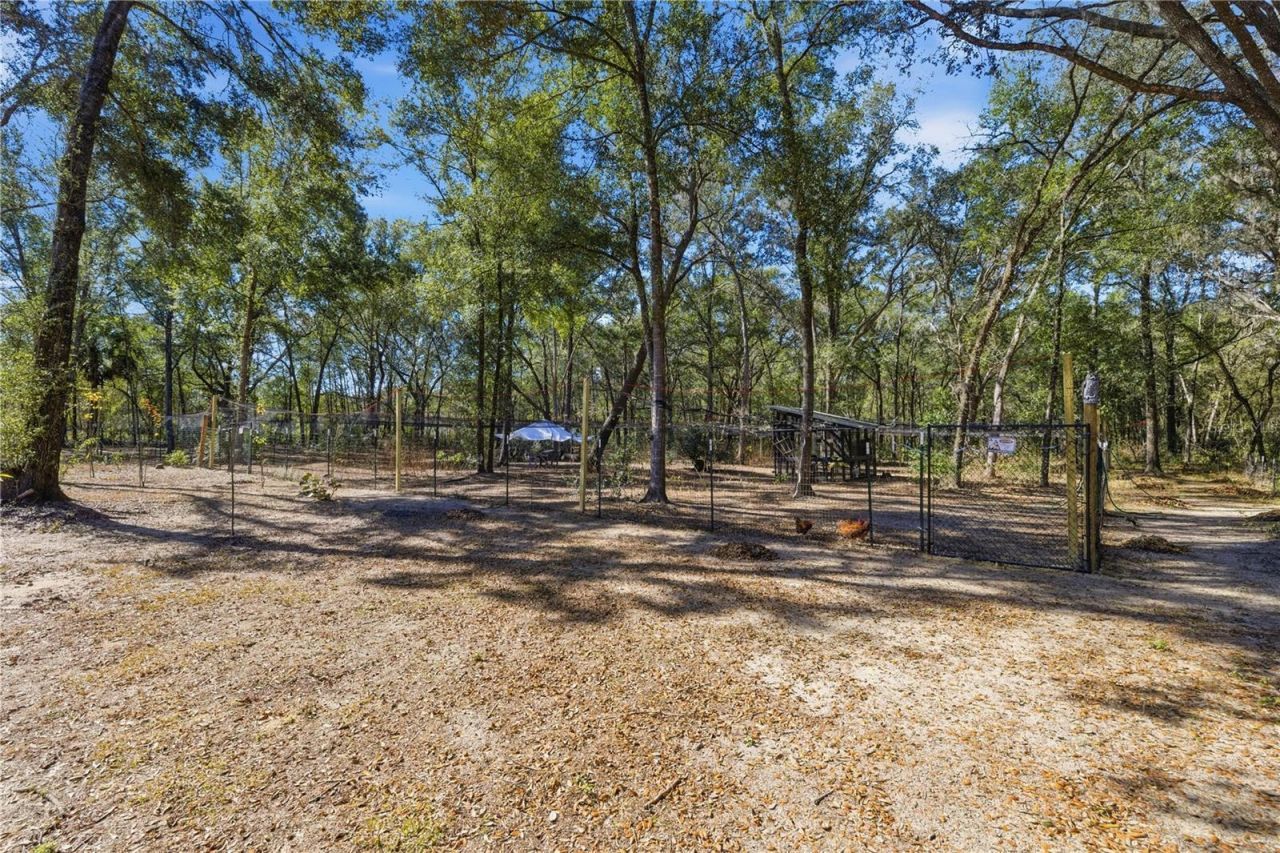 8490 SE 110th Street Road, Belleview, FL 34420 Photo