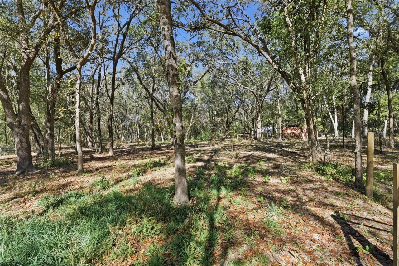 8490 SE 110th Street Road, Belleview, FL 34420 Photo