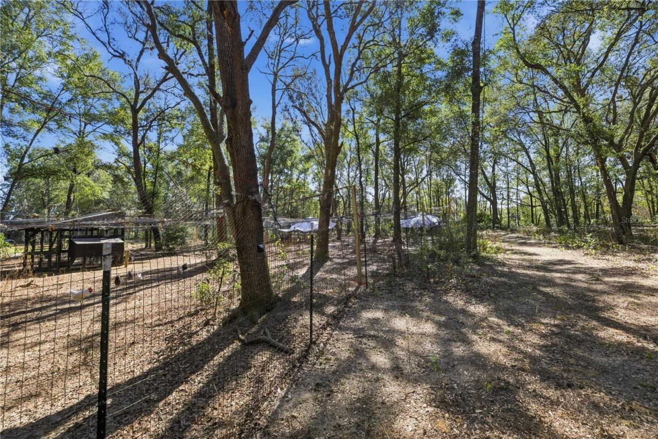 8490 SE 110th Street Road, Belleview, FL 34420 Photo