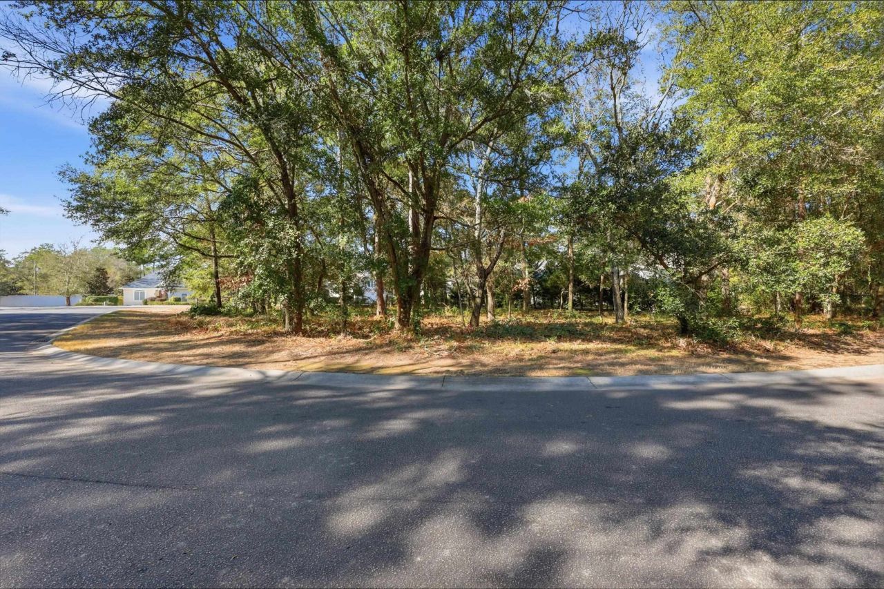 4724 Bucks Bluff Dr. Photo 10