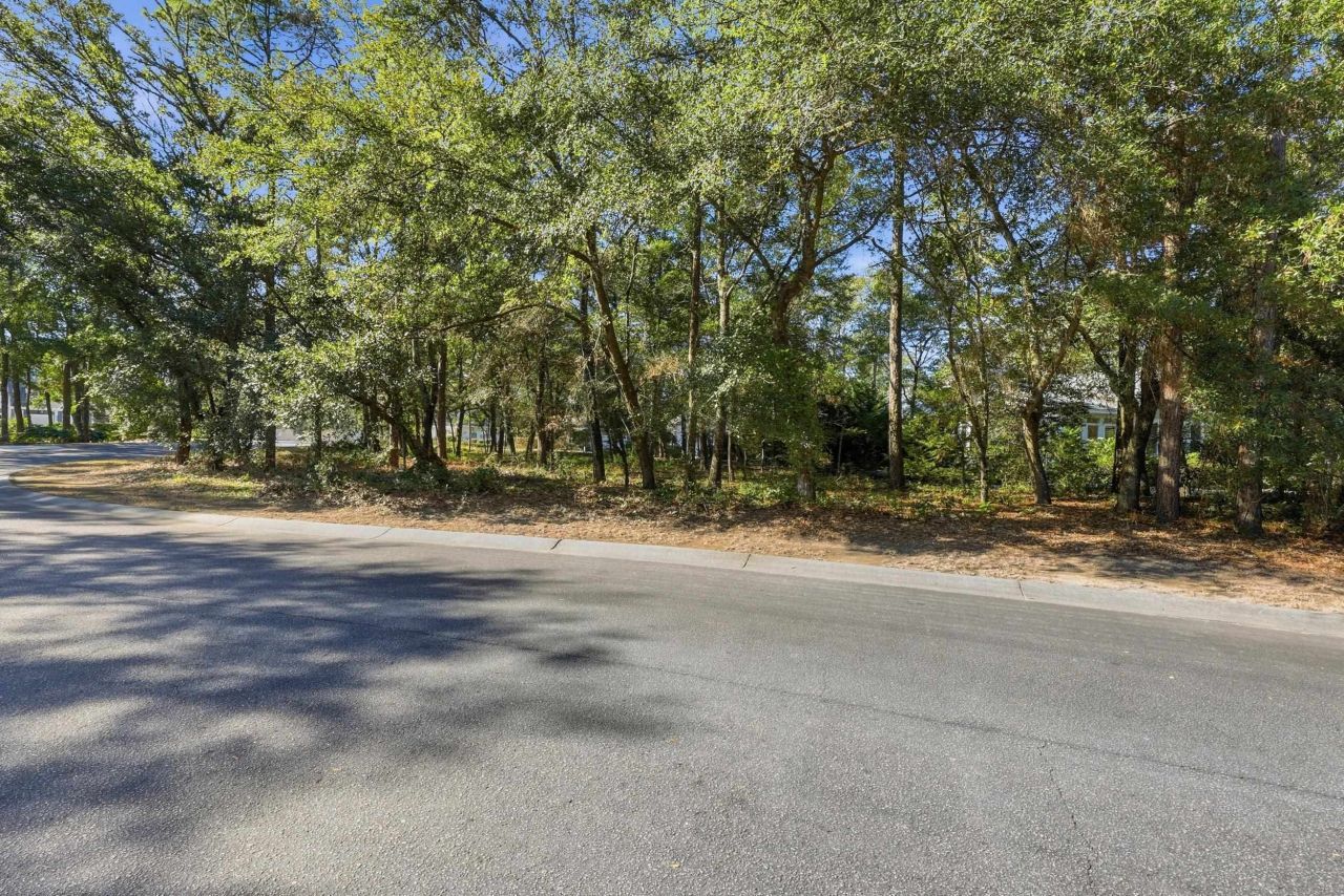 4724 Bucks Bluff Dr. Photo 11