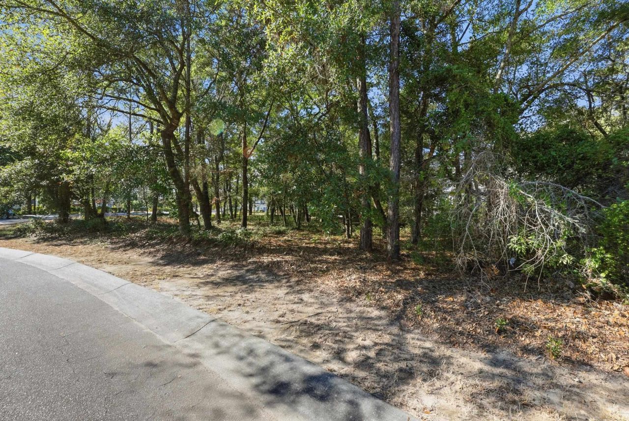 4724 Bucks Bluff Dr. Photo 12