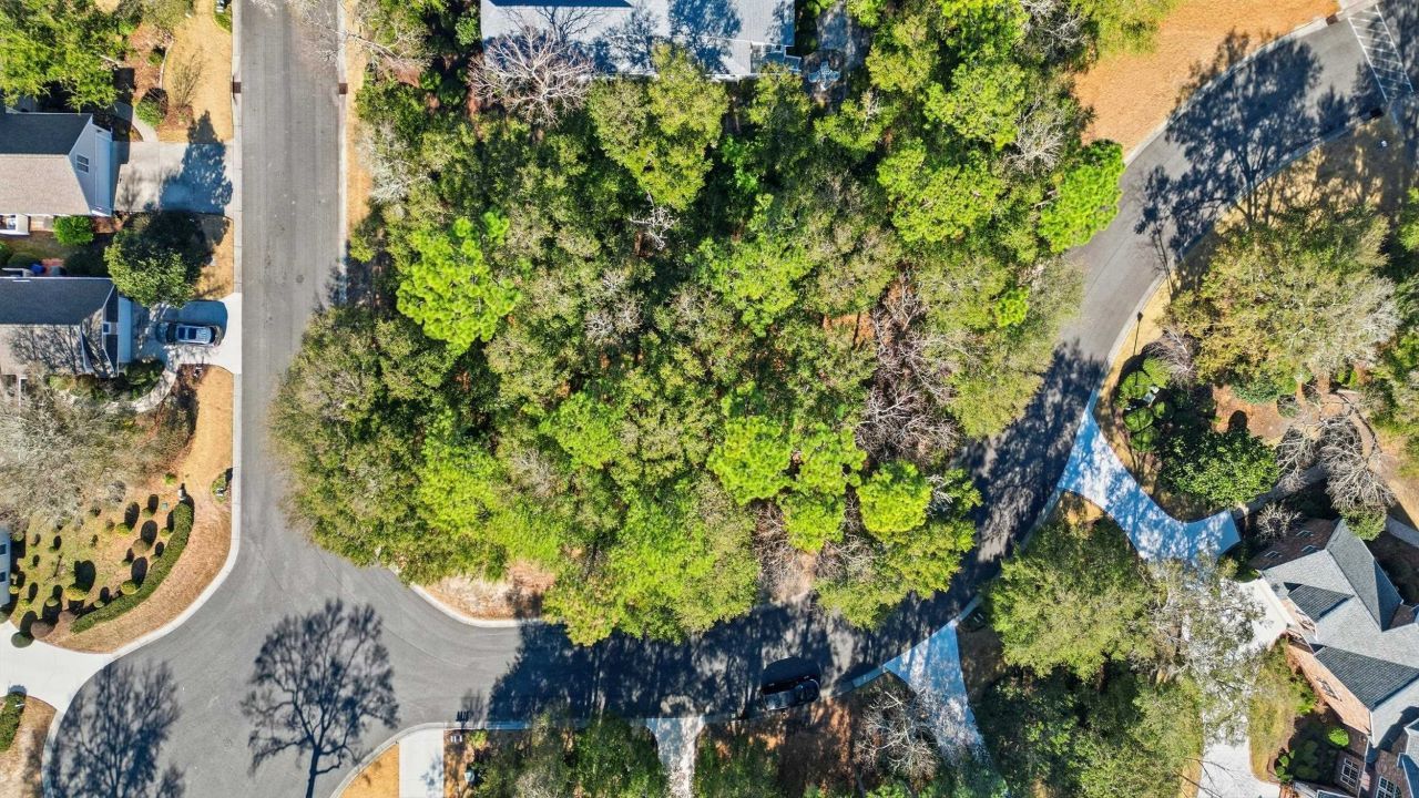 4724 Bucks Bluff Dr. Photo 4