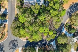 4724 Bucks Bluff Dr. photo 4