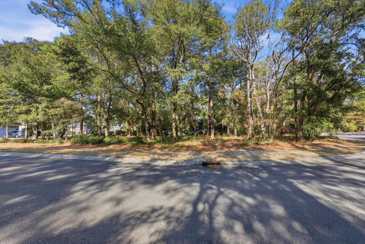 4724 Bucks Bluff Dr. Photo 7