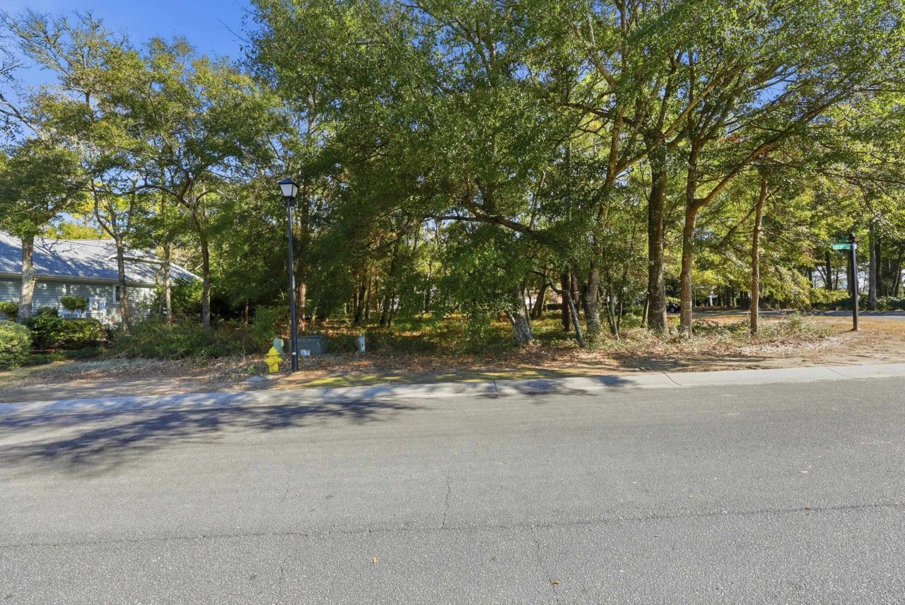 4724 Bucks Bluff Dr. Photo 9