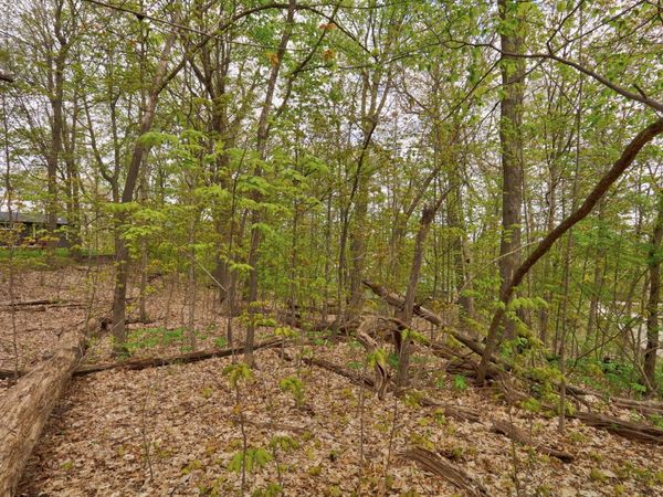 Lt 17-18 Forest Drive, Lake Geneva, WI 53147