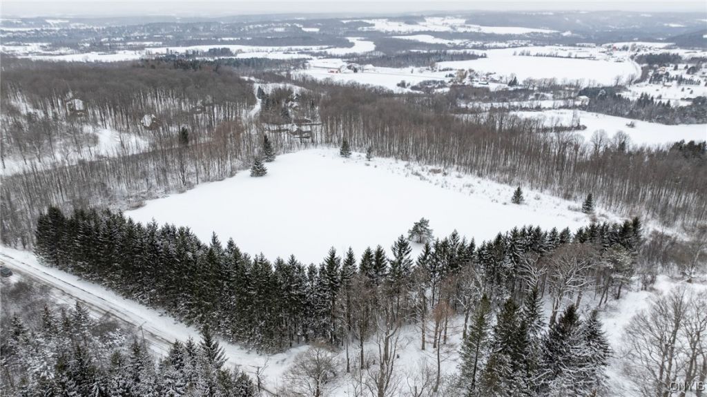 L1 Hill Road, Fenner, NY 13035 Main Photo