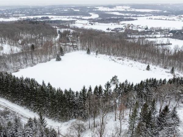 L1 Hill Road, Fenner, NY 13035