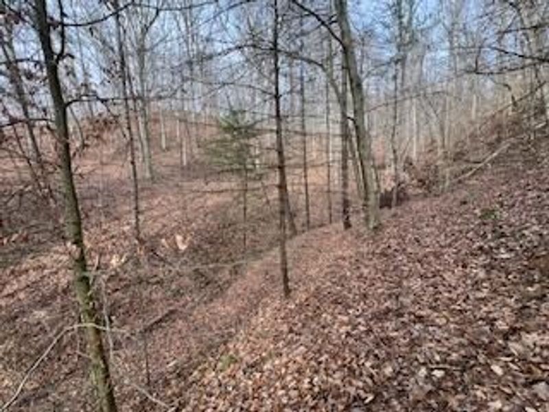 18344 Modoc Road , Glouster, OH 45732 Photo 11