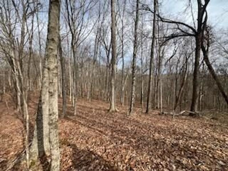 18344 Modoc Road , Glouster, OH 45732 Photo 13