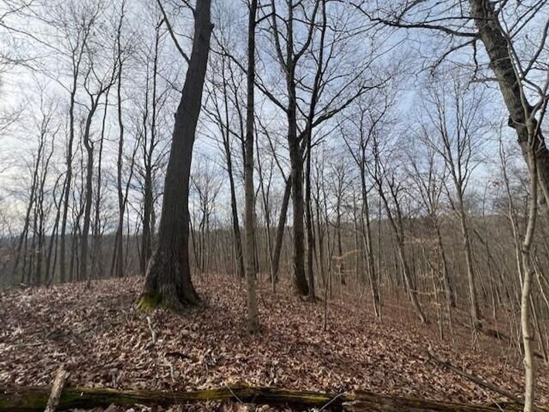 18344 Modoc Road , Glouster, OH 45732 Photo 14