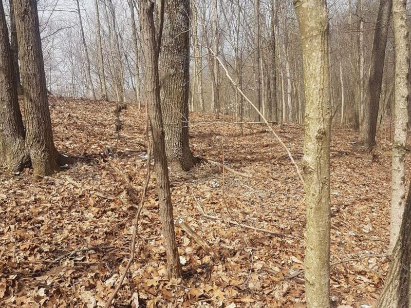 18344 Modoc Road , Glouster, OH 45732 Photo 15