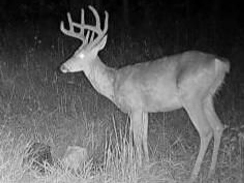 18344 Modoc Road , Glouster, OH 45732 Photo 2