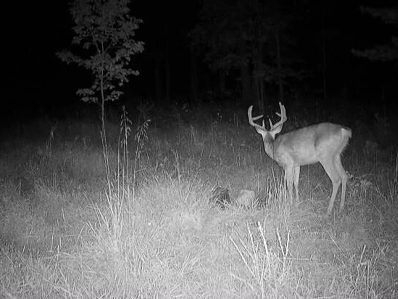 18344 Modoc Road , Glouster, OH 45732 Photo 3