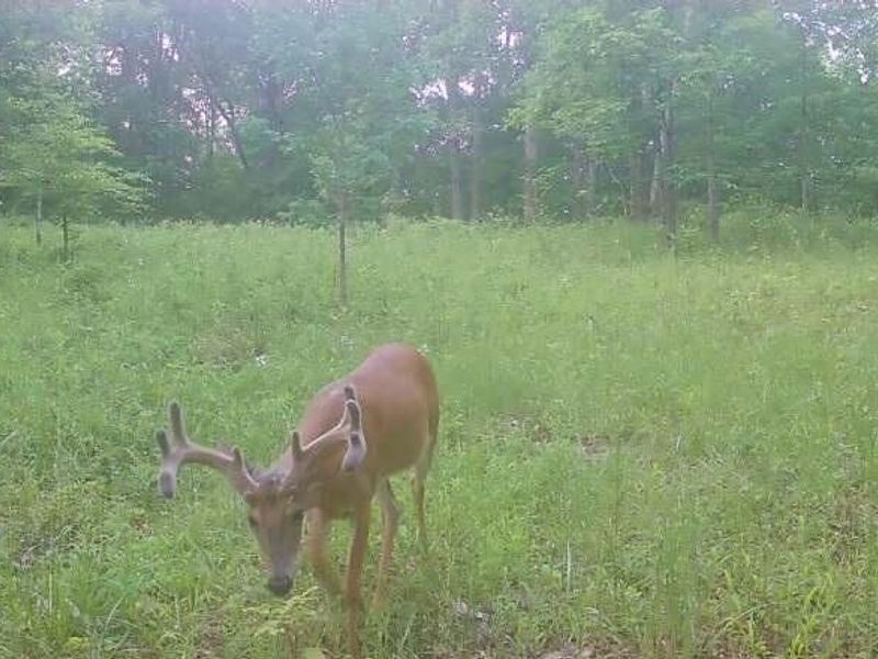 18344 Modoc Road , Glouster, OH 45732 Photo 5