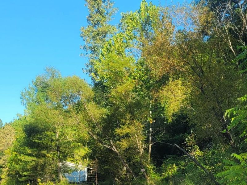 18344 Modoc Road , Glouster, OH 45732 Photo 8