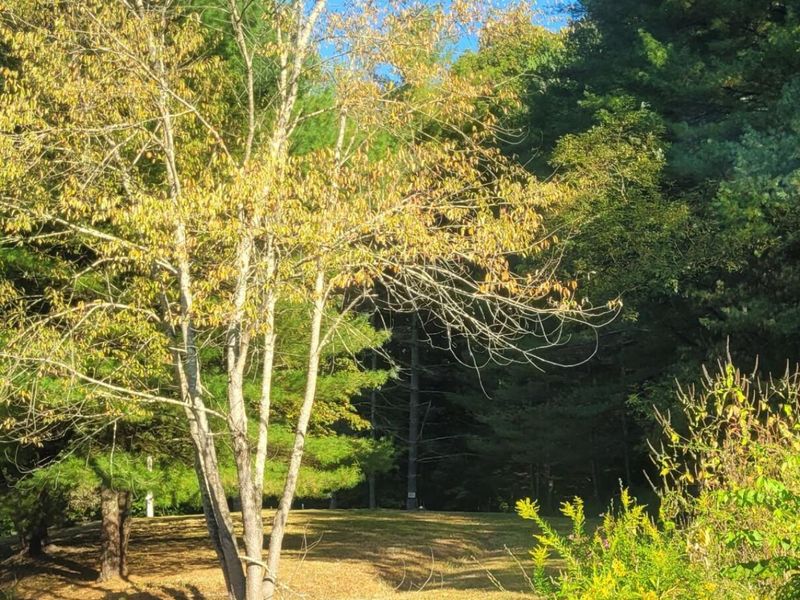 18344 Modoc Road , Glouster, OH 45732 Photo 9