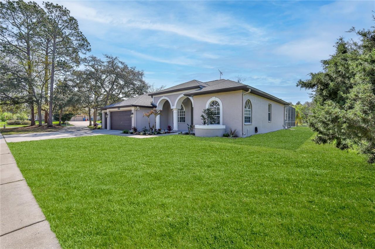 12230 Padron Boulevard, Spring Hill, FL 34609 Photo