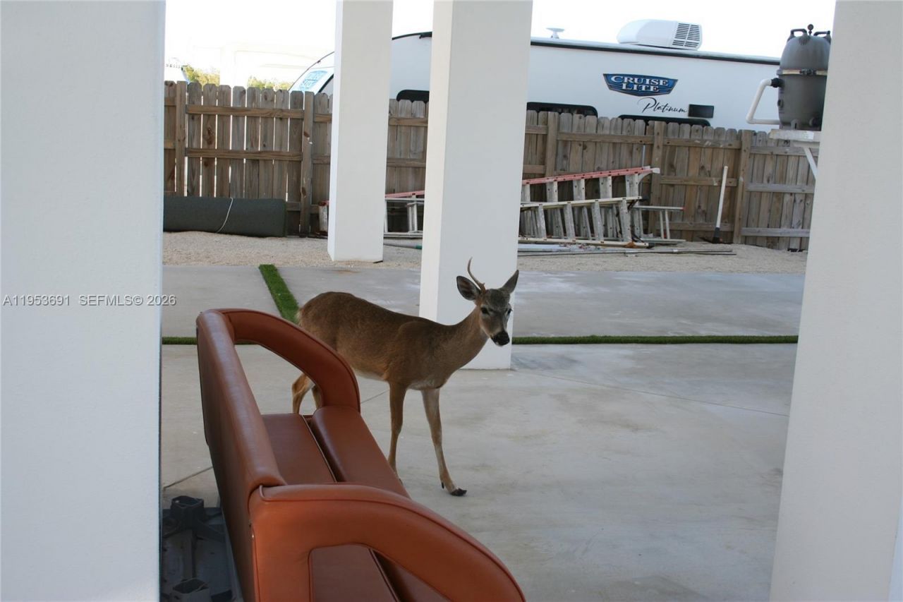 1553 Sunrise Dr , Big Pine Key, FL 33043 Photo