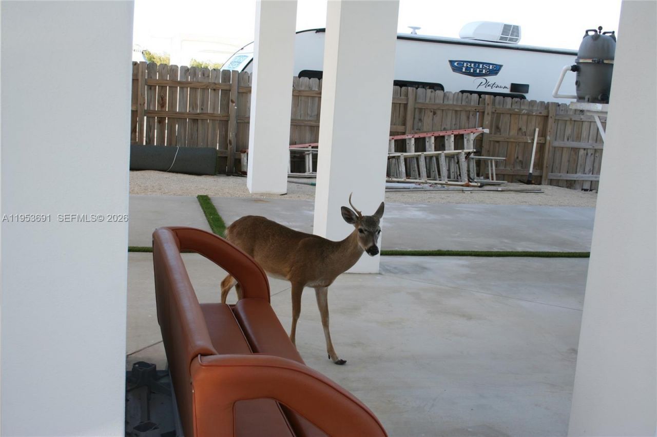 1553 Sunrise Dr , Big Pine Key, FL 33043 Photo